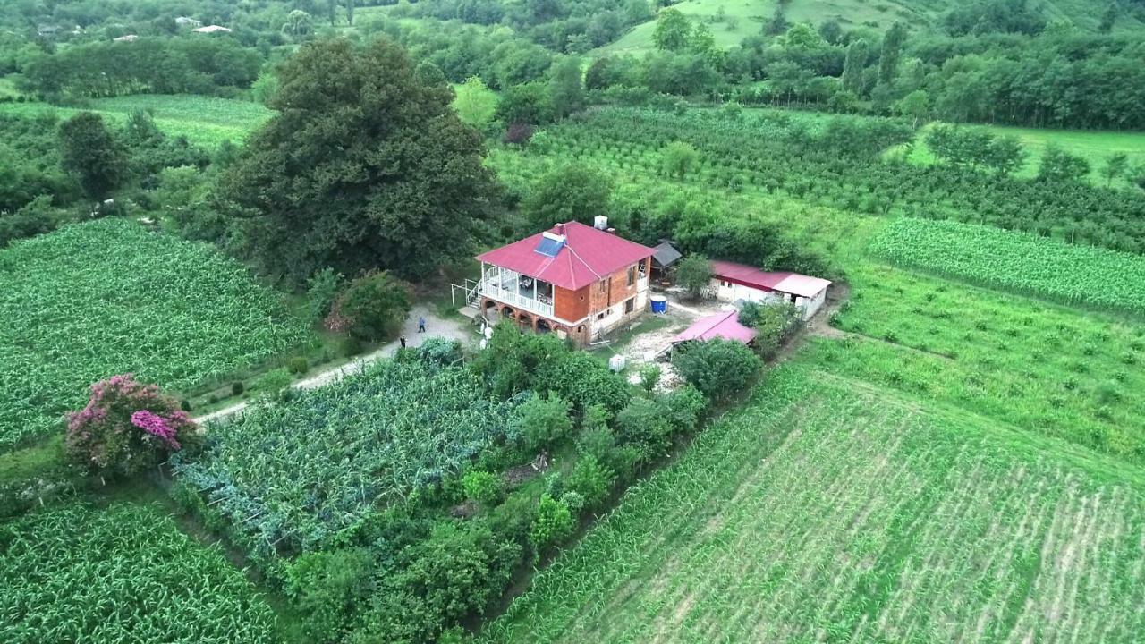 Guesthouse Kamelia Martvili Exterior foto